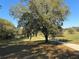 Private driveway with mature trees and open pasture views at 21342 S Buckhill Rd, Clermont, FL 34715