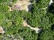 Aerial view of property with home and trees at 1921 Smitty Rd, Lady Lake, FL 32159