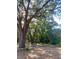Mature oak trees with Spanish moss in a lush, natural setting at 1921 Smitty Rd, Lady Lake, FL 32159