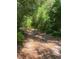 A path winds through a wooded area with abundant vegetation at 1921 Smitty Rd, Lady Lake, FL 32159