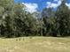 Open backyard space with lush green grass and mature trees providing shade at 1921 Smitty Rd, Lady Lake, FL 32159