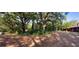 Large front yard with mature trees and a gravel driveway at 1921 Smitty Rd, Lady Lake, FL 32159