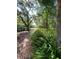 A path through the woods with ferns along the edges at 1921 Smitty Rd, Lady Lake, FL 32159