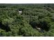 Aerial view showing home surrounded by a wooded area at 1921 Smitty Rd, Lady Lake, FL 32159