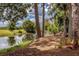 Picnic table near the water, surrounded by trees at 29334 David Ct, Tavares, FL 32778