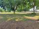 Large grassy land with mature trees and distant structures at 2103 W Kelly Park Rd, Apopka, FL 32712
