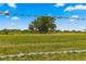 Open pasture with livestock and large oak tree in the background at 2198 Se 110Th Ave, Webster, FL 33597