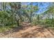 Long driveway lined with mature trees leading to a house at 26711 County Road 33, Groveland, FL 34736