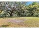 Spacious backyard with mature oak trees and grassy areas at 26711 County Road 33, Groveland, FL 34736