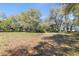 Open grassy lot with mature trees providing shade at 26711 County Road 33, Groveland, FL 34736