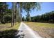 Long driveway leading to house at 3554 County Road 216, Oxford, FL 34484