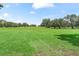 Expansive green pasture with large oak trees at 2027 Cr 232, Wildwood, FL 34785