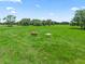 Serene pasture with horses grazing peacefully at 2027 Cr 232, Wildwood, FL 34785