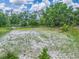 Aerial view of property with large pasture and mature trees at 2027 Cr 232, Wildwood, FL 34785