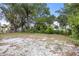 Large backyard with mature trees and a partially cleared area at 1113 Oakland Cir, Tavares, FL 32778