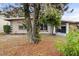 Mid-century modern home with mature landscaping at 1113 Oakland Cir, Tavares, FL 32778