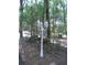 White lamp post with three lights in a wooded front yard at 415 Se 123Rd Street Rd, Ocala, FL 34480