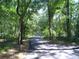 Paved driveway bordered by lush trees, offering privacy at 415 Se 123Rd Street Rd, Ocala, FL 34480