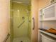Walk in shower with grab bars and tiled walls at 601 N Mcdonald St # 608, Mount Dora, FL 32757