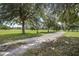 Long driveway leading to a house, lined with lush trees at 31050 State Road 44, Eustis, FL 32736