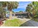 Backyard with mature palm trees and pool area at 6919 Fern Cir, Leesburg, FL 34748