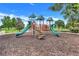 playground with multiple play features and safe surfacing at 1103 White Water Bay Dr, Groveland, FL 34736