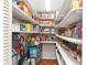 Well-organized pantry with ample shelving for storage at 2537 E Crooked Lake Dr, Eustis, FL 32726
