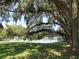 Lush green space with mature oak trees and tennis courts in the background at 6435 Borg St, Leesburg, FL 34748