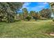 Large backyard with a grassy area and lush trees at 6435 Borg St, Leesburg, FL 34748