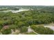 Aerial view of property with lush green trees and a nearby lake at 1136 Brick Rd, Winter Garden, FL 34787