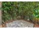 Brick patio nestled amongst lush bamboo and other greenery at 507 Lakeshore Dr, Eustis, FL 32726