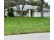 Image 1 of 13: 10144 Silver Bluff Dr, Leesburg