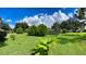 Landscaped backyard with lush green grass at 39331 Treeline Dr, Lady Lake, FL 32159