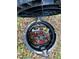 Ground-level gas meter with various components inside at 101 S Dixie Ave, Fruitland Park, FL 34731