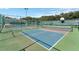 Community tennis and pickleball courts at 5500 Belle Terre Dr, Leesburg, FL 34748