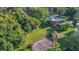 Aerial view of property with large lot and mature trees at 151 S Clayton St, Mount Dora, FL 32757
