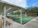 Two bocce ball courts with covered seating areas at 6410 Tildon Ct, Leesburg, FL 34748