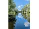 Serene river view with lush vegetation and Spanish moss at 3457 Lake Diane Rd, Tavares, FL 32778