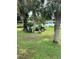 Landscaped yard with palm trees and lake view at 104 Turtle Run, Umatilla, FL 32784