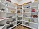 Large walk-in pantry with ample shelving for storage at 39400 French Rd, Lady Lake, FL 32159