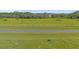 Homesite with lush landscaping and a tree-lined backdrop at 38530 Wooded Meadow Drive, Umatilla, FL 32784