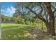 Large backyard with mature oak tree and privacy fence at 12332 Basin St, Clermont, FL 34715