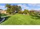 Expansive backyard with well-manicured lawn and tropical plants at 25304 Forest Oak Ct, Leesburg, FL 34748