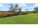 Spacious backyard overlooking a tranquil natural landscape at 4809 Saint Andrews Arc, Leesburg, FL 34748