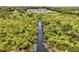 Nature preserve with a narrow waterway and lush vegetation at 1180 Dora Parc Ln, Mount Dora, FL 32757