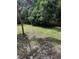 Large backyard with grassy area and trees at 620 Gould St, Eustis, FL 32726