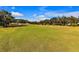 Scenic golf course view with lush green fairways at 815 Forest Breeze Path, Leesburg, FL 34748