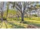 Spacious backyard with a large oak tree and lush greenery at 17601 Sawgrass Run, Tavares, FL 32778