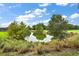 Scenic pond view with lush landscaping and mature trees at 5096 Greens Dr, Lady Lake, FL 32159