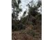 Image shows an overgrown lot with downed trees at 15518 State Road 19, Groveland, FL 34736